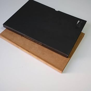 Amazon.co.jp: J.TORRENTS LLADOジョアキントレントリャド 画集